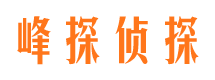 丁青市侦探公司